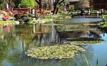 Buenos Aires Japanischer Garten, Argentinien