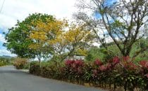 The village of Orosi, Costa Rica