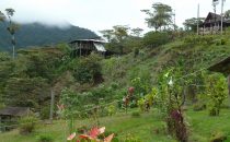 Tapanti National Park, Costa Rica