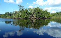 New River Lagoon, Belize