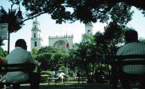 Zócalo und Kathedrale, Mérida, Mexiko