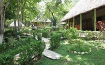 Escudo Jaguar garden