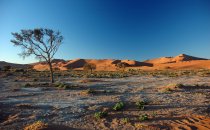 Sossusvlei, Namibia