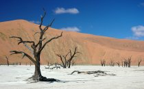 Sossusvlei - Deadvlei, Namibia