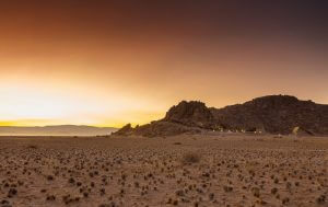 Desert Quiver Camp nahe Sossusvlei, Namibia