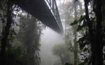 Monteverde hanging bridge, Costa Rica