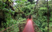 Monteverde hanging bridge, Costa Rica
