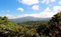 Santa Elena Reserve, Puntarenas, Costa Rica