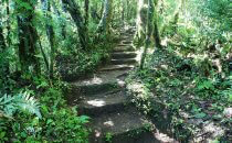 Santa Elena Reserve, Puntarenas, Costa Rica