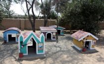 Nackthundefriedhof - Túcume, Peru