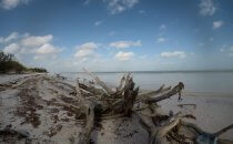 Strand auf der Isla Holbox, Yucatán, Mexiko