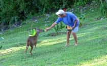 Pacific Bay Resort, Punta Bejuco, Golf von Chiriquí, Panama