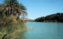 Lagune am Ortsrand vonSan Ignacio