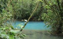 Rio Celeste in the Tenorio National Park