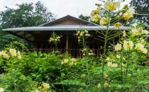 The Hummingbird Bungalow