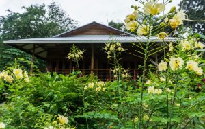 The Hummingbird Bungalow