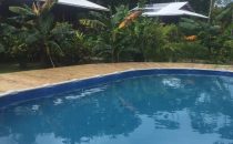 The Hummingbird Pool