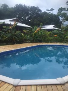 The Hummingbird Pool