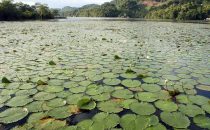 Rio Dulce, Guatemala