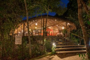 Anavilhanas Jungle Lodge, Amazonas, Brasilien