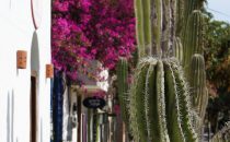 Todos Santos, Baja California Sur, Mexico