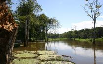 Anavilhanas Nationalpark, Amazonas, Brasilien