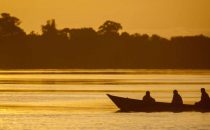 Anavilhanas Archipel am Rio Negro nahe Manaus, Brasilien