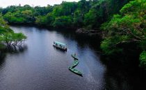 Anavilhanas Archipel am Rio Negro nahe Manaus, Brasilien