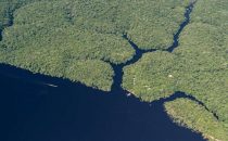 Anavilhanas Archipel am Rio Negro nahe Manaus, Brasilien