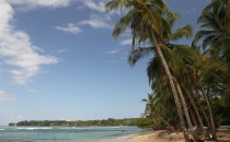 Bocas del Toro Archipel, Panama