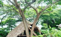 Casa Marimba, Apoyo Lagoon, Nicaragua