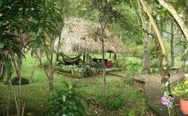 Cielito Sur Bed and Breakfast, Cerro Punta, Panama