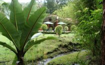 Cielito Sur Bed and Breakfast, Cerro Punta, Panama