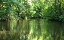 Canal, Tortuguero National Park, Costa Rica