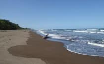 the beach at Tortuguero National Park, Costa Rica