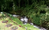 Las Orchídeas B&B, Cerro Punta, Panama