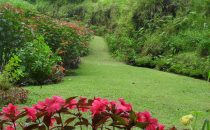 Las Orchídeas B&B, Cerro Punta, Panama