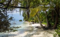 Island in the San Blas Archipelago, Kuna Yala, Panama
