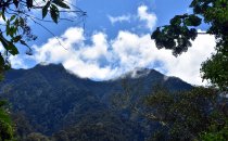 Sendero los Quetzales, Provinz Chiriquí, Panama