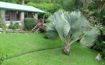 Chalet Orosi, Orosi, Costa Rica