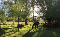 Estancia Santa Thelma, Patagonia, Argentina