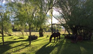 Estancia Santa Thelma, Patagonien, Argentinen