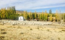Estancia Santa Thelma, Patagonia, Argentina