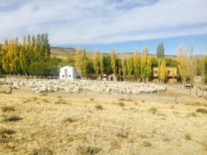 Estancia Santa Thelma, Patagonien, Argentinen