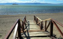 Laguna Nimez in El Calafate, Argentinien © Bertram Roth
