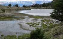 Lagunas Altas Trail in the Patagonia National Park, Chile