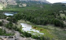 Lagunas Altas Trail in the Patagonia National Park, Chile