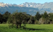 Valle Chacabuco in the Patagonia National Park, Chile