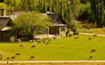 Restaurant at the Lodge at Valle Chacabuco, Parque Patagonia, Chile