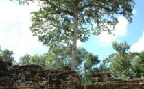 Akropolis in Yaxchilán, Chiapas, Mexiko